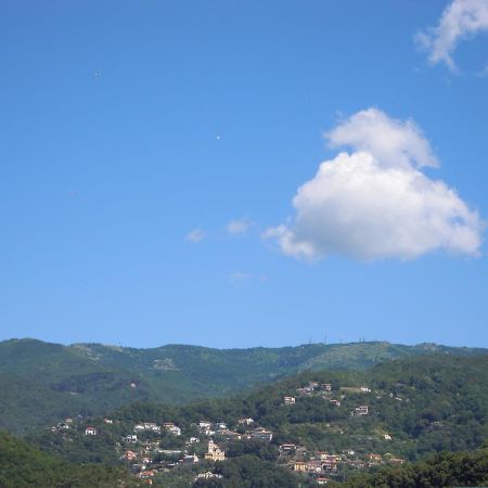 Genovese Villa Elena Appartamenti Varazze Exterior foto